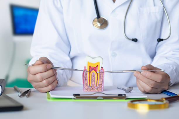 Best Dentist for Severe Toothache  in Harbor Beach, MI